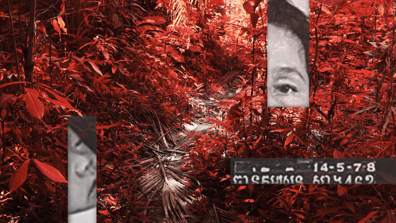 Unveiling Dystopian Discord: A Groundbreaking Exploration of Cold War Politics and Cambodian Communism