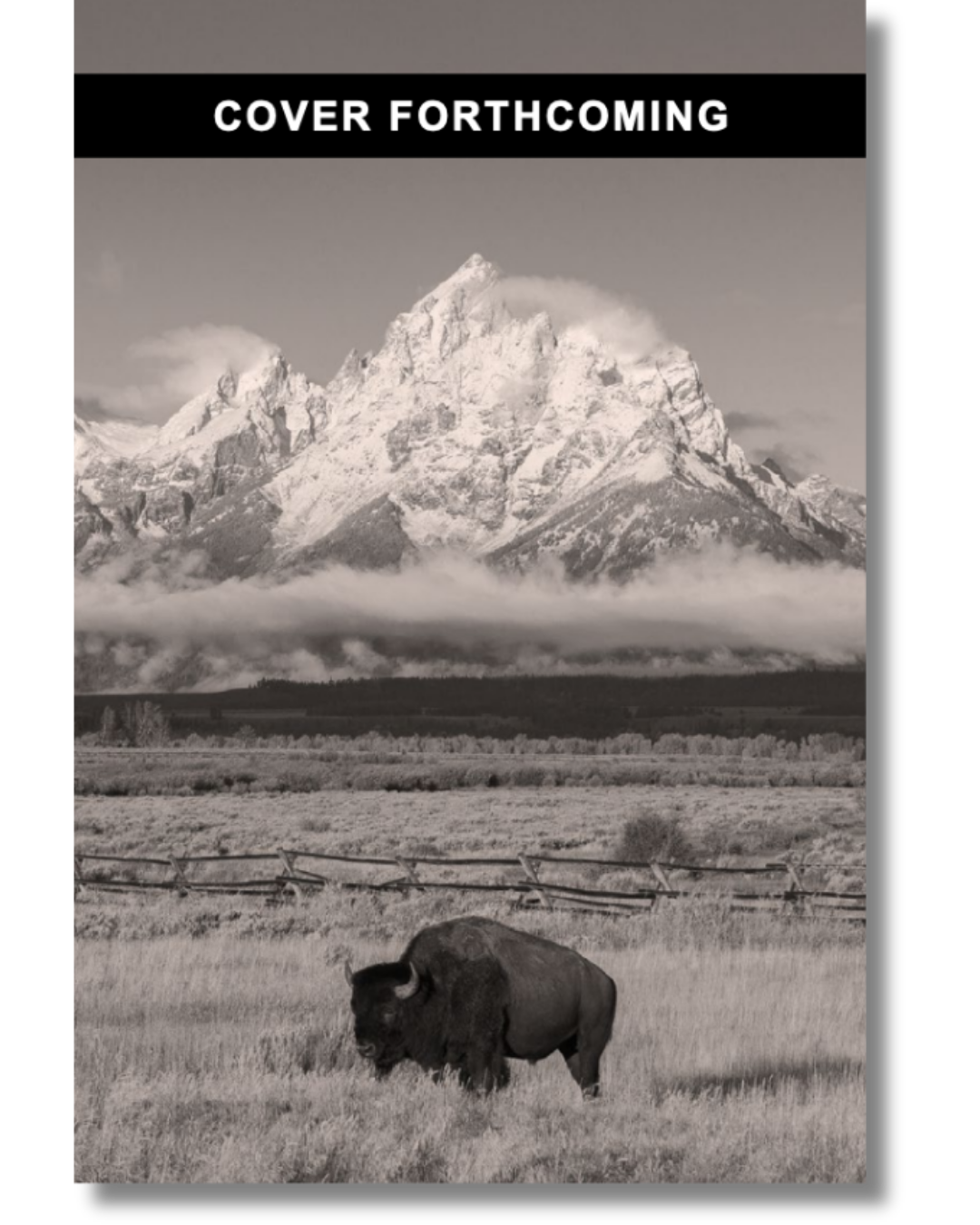 Cover forthcoming image for History in the Making: A History of the People of the United States of America to 1877, Second Edition, by Catherine Locks, et al. A bison stands before Grand Teton. Text at the top reads "cover forthcoming."