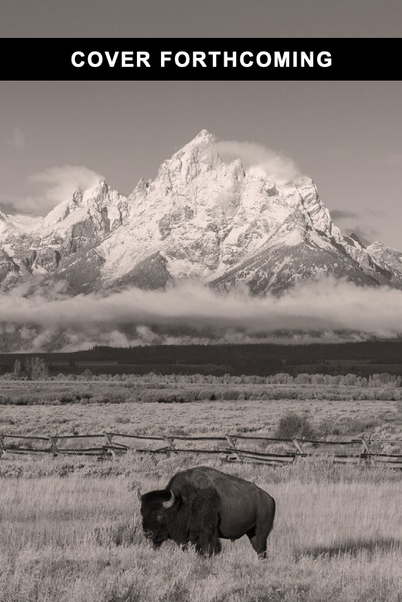 Cover forthcoming image for History in the Making: A History of the People of the United States of America to 1877, Second Edition, by Catherine Locks, et al. A bison stands before Grand Teton. Text at the top reads "cover forthcoming."