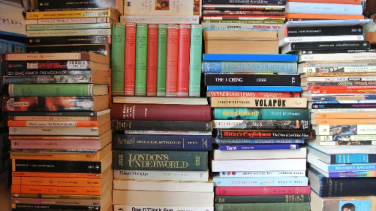 A Beginner’s Guide to Editing